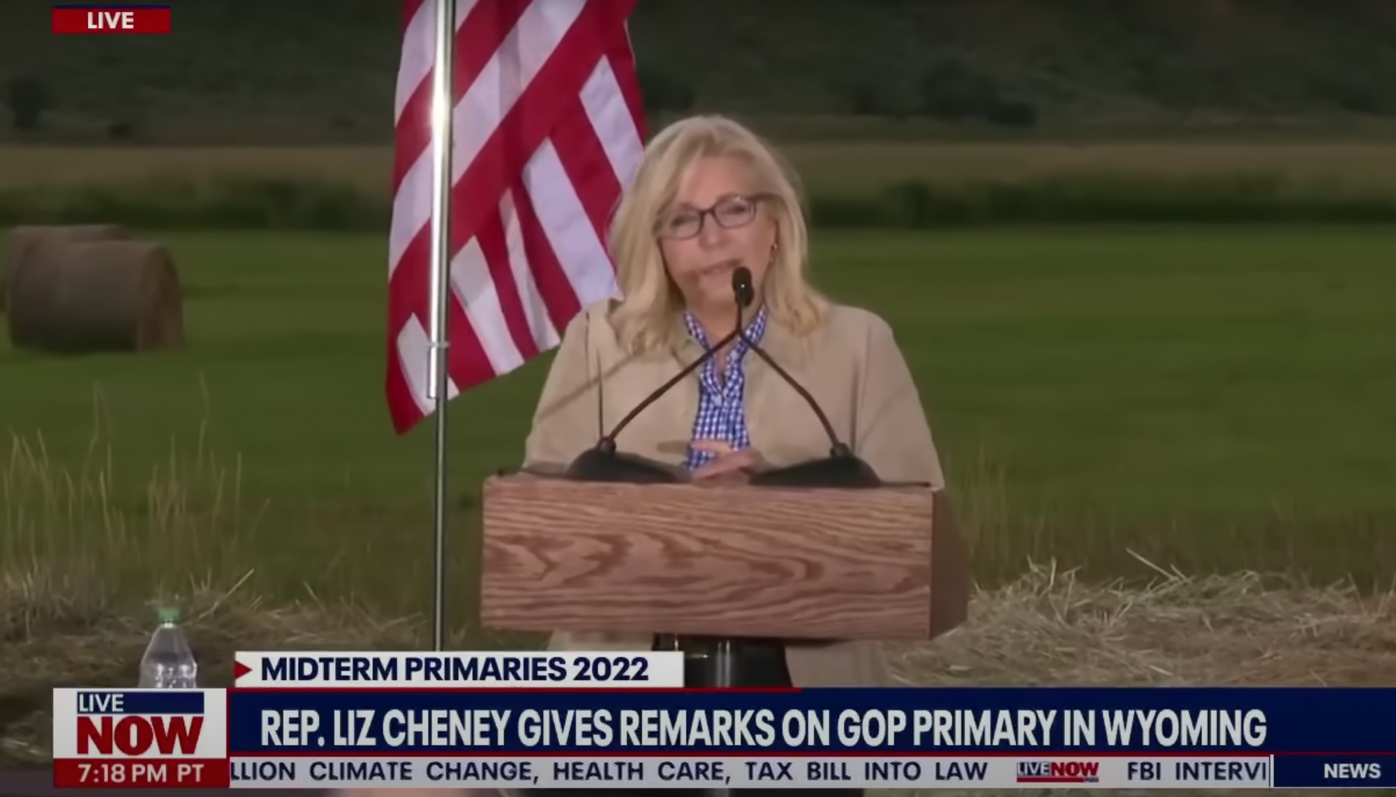 Liz Cheney conceding her race in Wyoming. Image: Screenshot / Fox Now