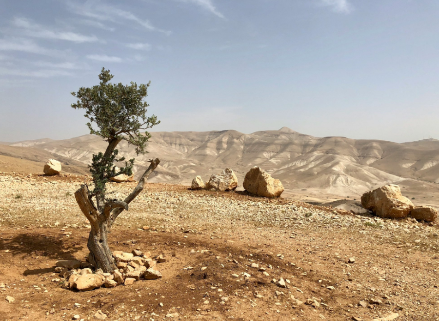 Photo by David McLenachan / Unsplash