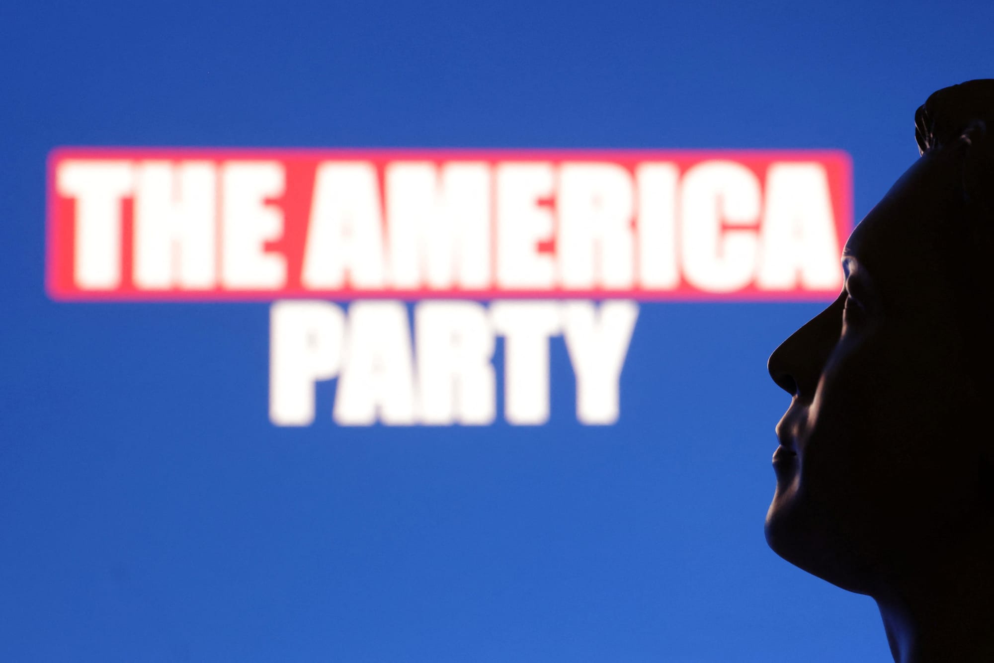 3D-printed miniature depicting Elon Musk — July 7, 2025 | REUTERS/Dado Ruvic/Illustration