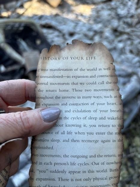 Pages from books, blown by the furnace and caught in tree branches. Ironically enough this one reads: “history of your life.”