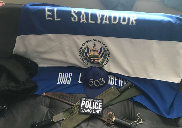 Image from joint effort against MS-13 led by Homeland Security Investigations | Picryl