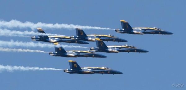 Trump uses an executive order to keep meat plants open. 