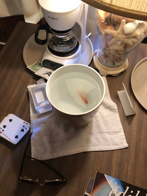 Rest In Peace, Arthur.