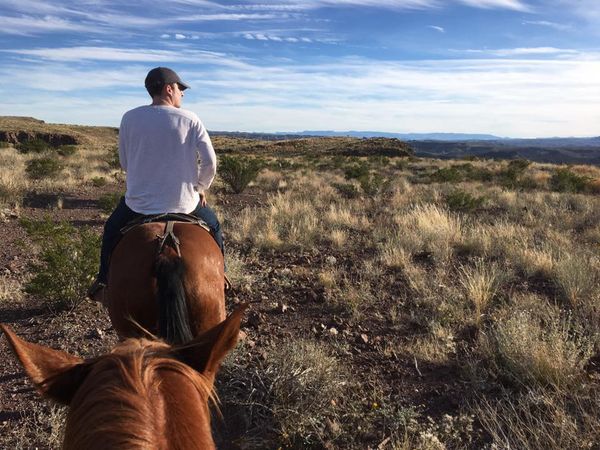 FRIDAY EDITION: Loving America. 