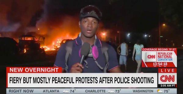 Making sense of the chaos.