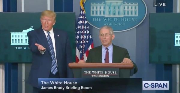 Is hydroxychloroquine really a cure for coronavirus?